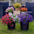 💖Último dia 49% DE DESCONTO 49% OFF- Flores Artificiais 💐