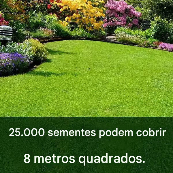 🔥🌱 Sementes de grama anã perene para quatro estações🌾 | Crie seu gramado perfeito aqui🌼
