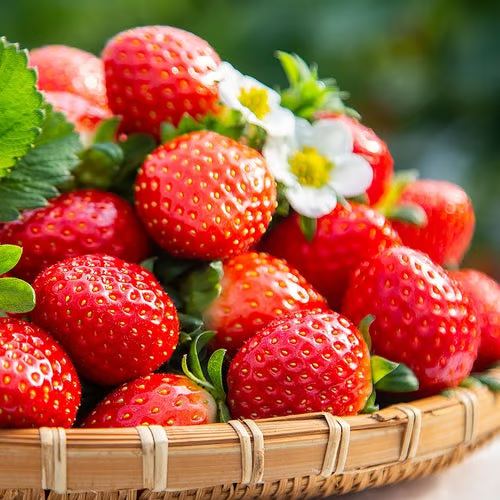 🔥🍓Sementes de Morango Cremosas
