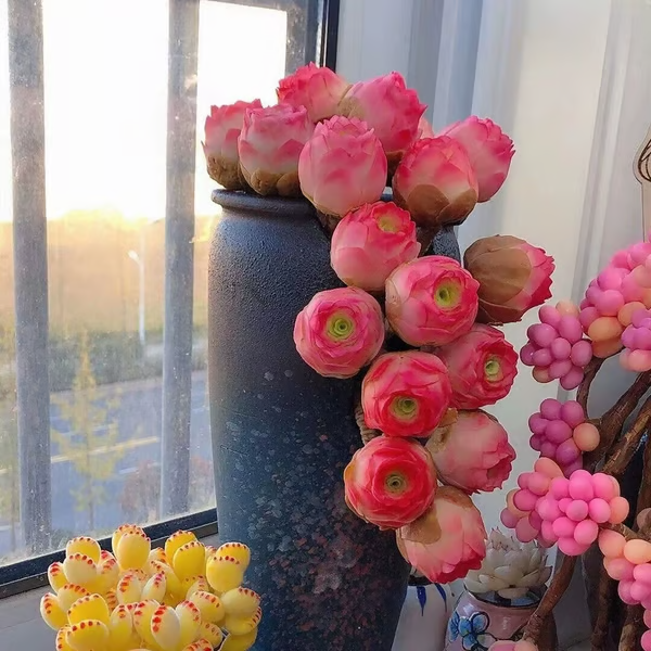 🌱🌹Rosa da Montanha: Beleza que Nunca Desbota, Mesmo para Jardineiros Iniciantes!🌺